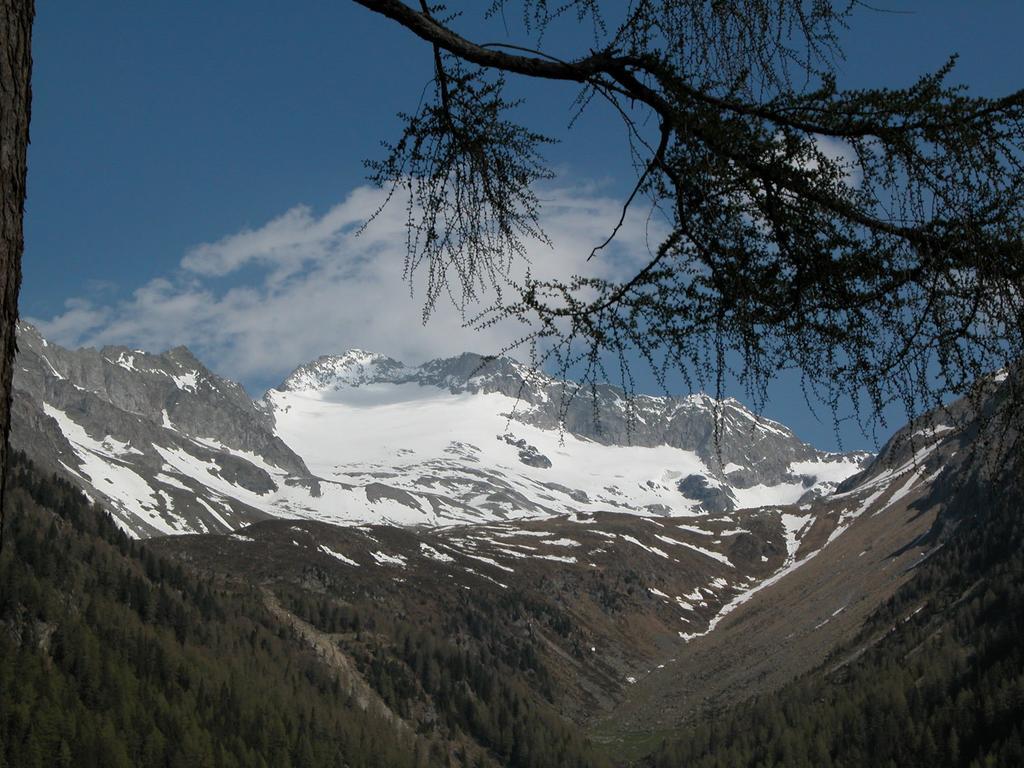 Вілла Feichterhof Voppichler Rio Bianco/Weissenbach Екстер'єр фото